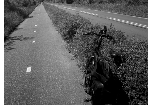 20250510-Fietsen-113