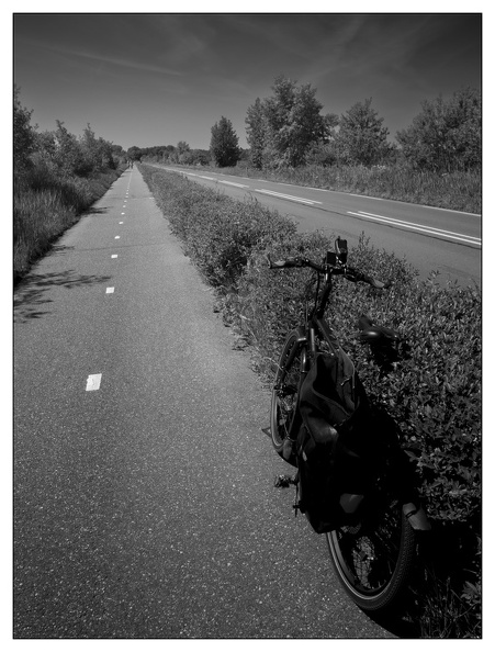 20250510-Fietsen-113.jpg