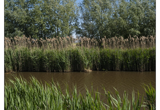 20250510-Fietsen-114