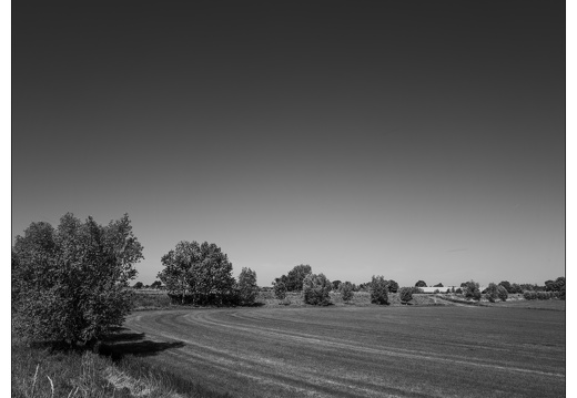 20250510-Fietsen-115