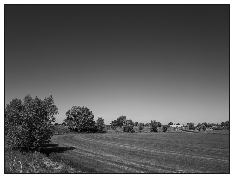 20250510-Fietsen-115.jpg