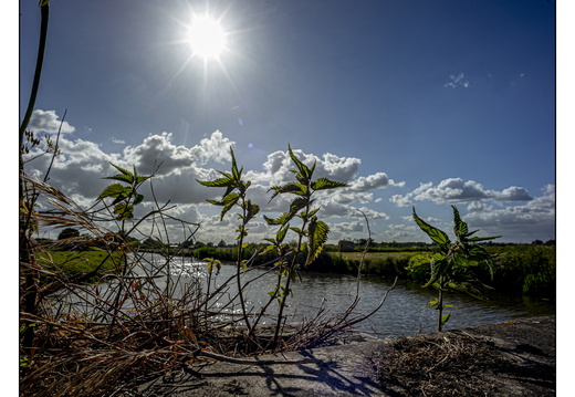 20250522-M240-15mm-Fietsen-107