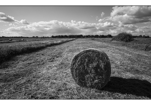 20250522-M240-15mm-Fietsen-108
