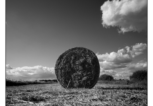 20250522-M240-15mm-Fietsen-109