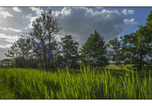 20250522-M240-15mm-Fietsen-114
