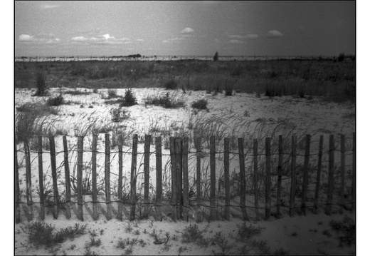 20250601-VarexIIa-35mm-Delta100-Fietsen-102