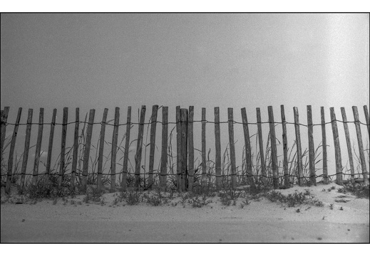 20250601-VarexIIa-35mm-Delta100-Fietsen-109