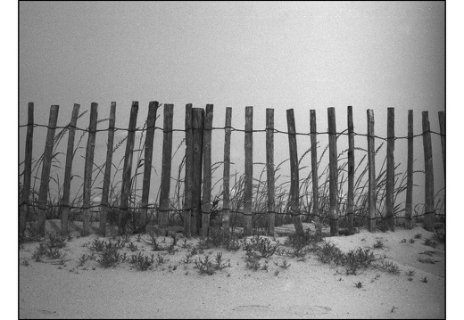 20250601-VarexIIa-35mm-Delta100-Fietsen-112