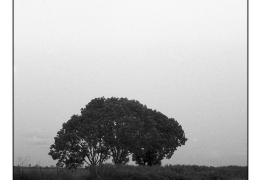 20250601-VarexIIa-35mm-Delta100-Fietsen-132