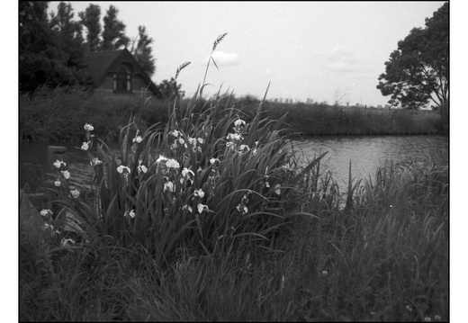 20250601-VarexIIa-35mm-Delta100-Fietsen-135