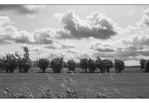 20250606-D800-20mm-Fietsen-108