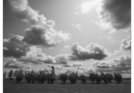 20250606-D800-20mm-Fietsen-109
