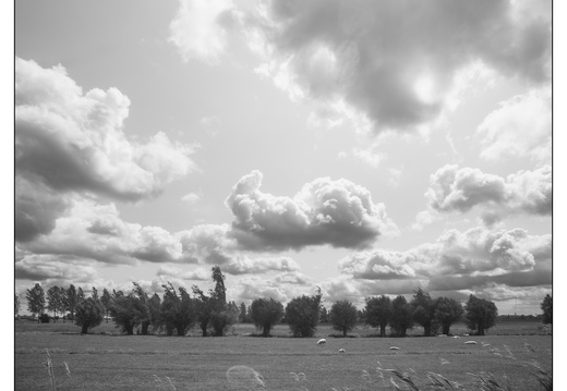20250606-D800-20mm-Fietsen-110