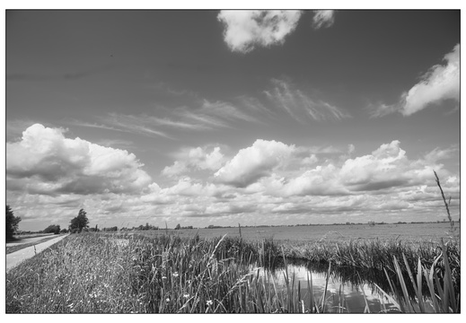 20250606-D800-20mm-Fietsen-128