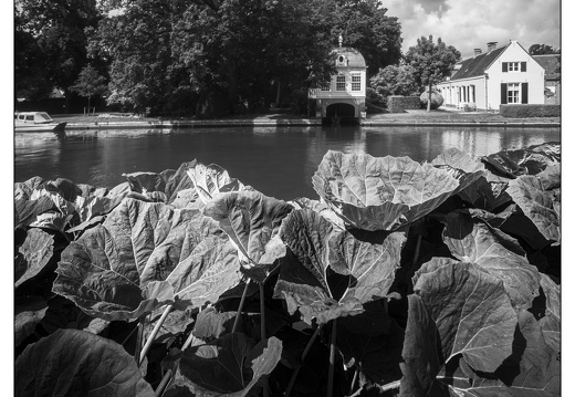 20250606-D800-20mm-Fietsen-103