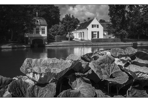 20250606-D800-20mm-Fietsen-104