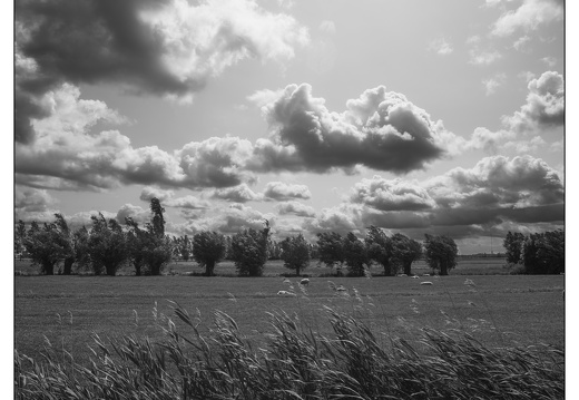 20250606-D800-20mm-Fietsen-107