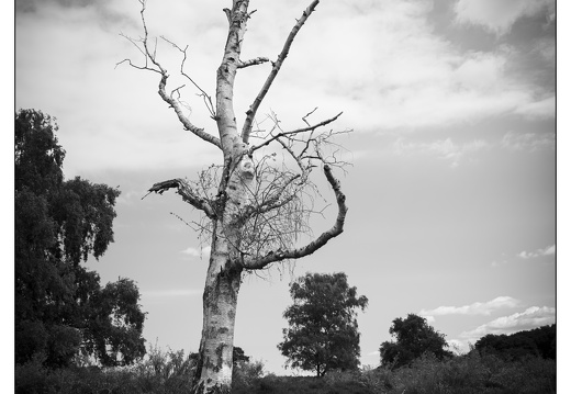 20250619-Fietsen-102