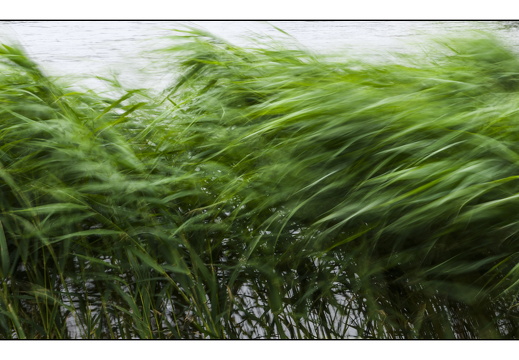 20250624-Vecht-101
