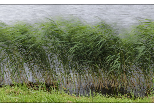 20250624-Vecht-103