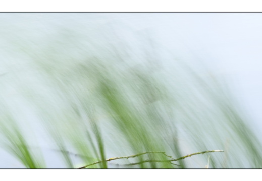 20250624-Vecht-106