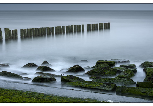 20250625-Maasvlakte-105