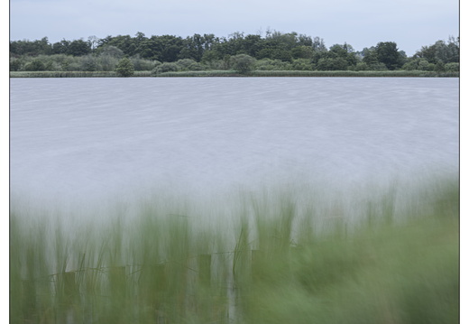 20250626-Landschap-105