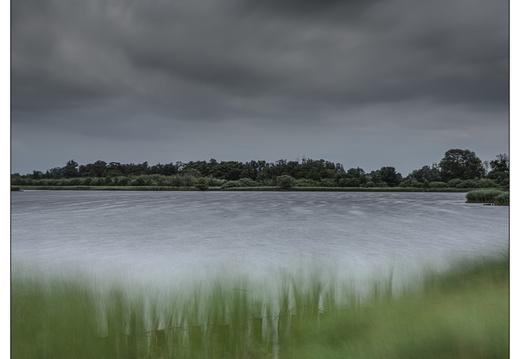 20250626-Landschap-106