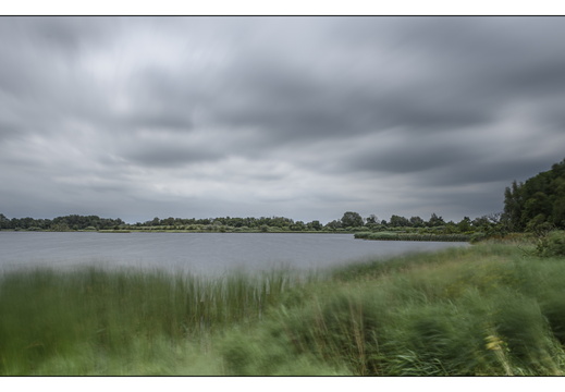20250626-Landschap-108
