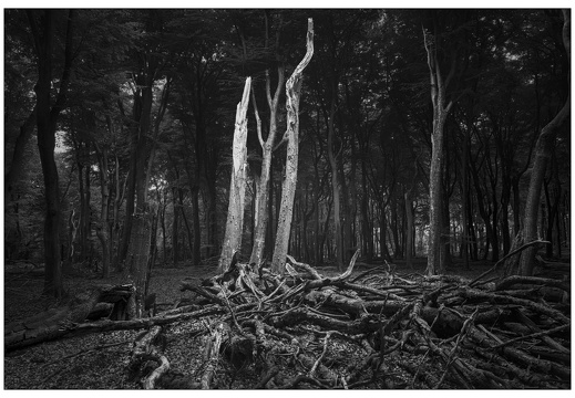 20250627-GSW690-Delta100-Vierhouten-101