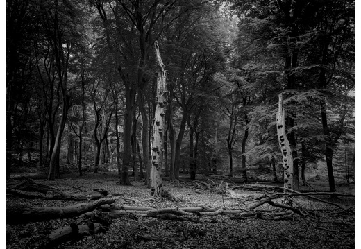 20250627-GSW690-Delta100-Vierhouten-102