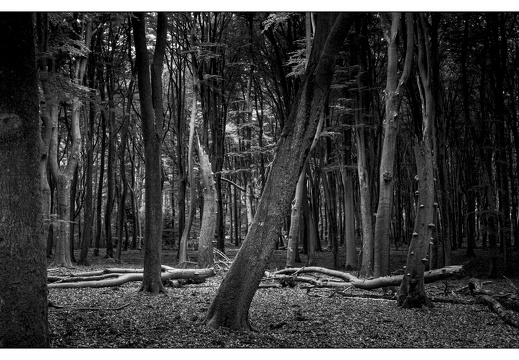 20250627-GSW690-Delta100-Vierhouten-104