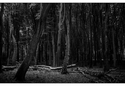 20250627-GSW690-Delta100-Vierhouten-105
