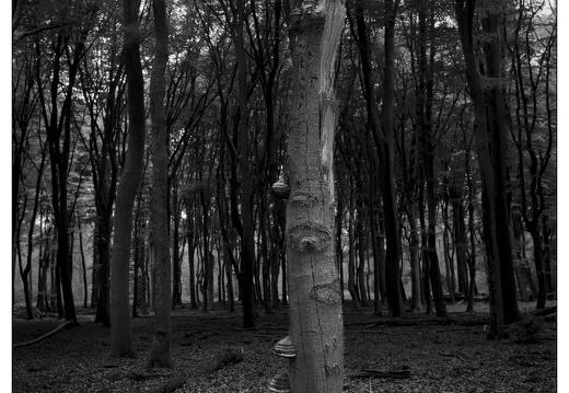 20250627-GSW690-Delta100-Vierhouten-106