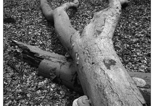 20250627-GSW690-Delta100-Vierhouten-107
