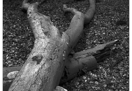 20250627-GSW690-Tmax100-Vierhouten-101