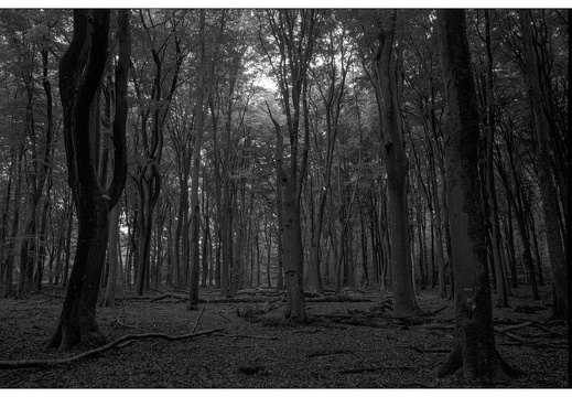 20250627-GSW690-Tmax100-Vierhouten-104