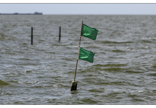 20250627-IJsselmeerdijk-102