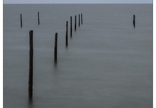 20250627-IJsselmeerdijk-105