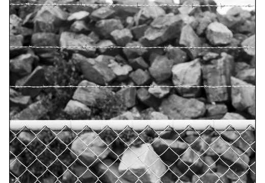 20250705-Topcon-35S-Delta100-Fietsen-101