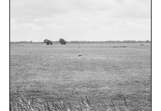 20250705-Topcon-35S-Delta100-Fietsen-115