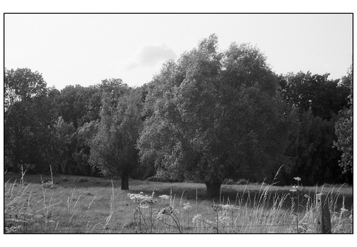 20250715-Topcon-35S-Delta100-Thuis-102