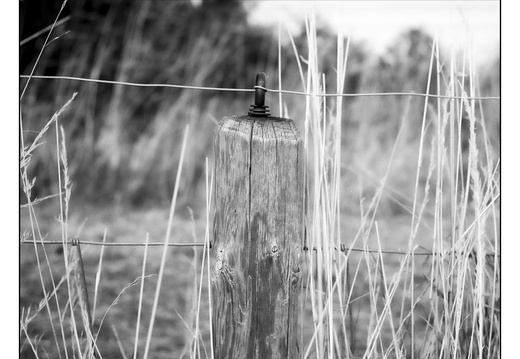 20250715-Topcon-35S-Delta100-Thuis-122