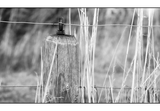 20250715-Topcon-35S-Delta100-Thuis-123