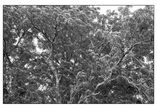 20250715-Topcon-35S-Delta100-Thuis-126