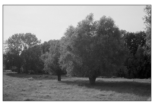 20250715-Topcon-35S-Delta100-Thuis-136