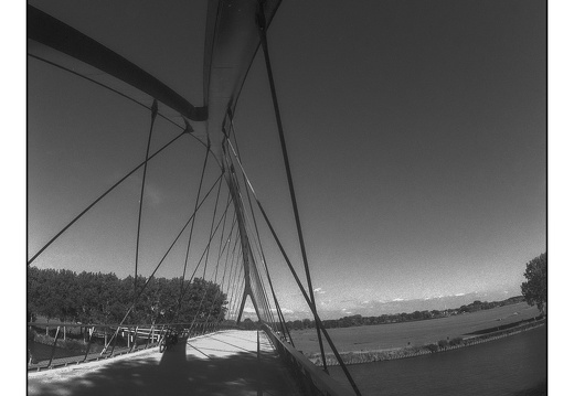 20250717-Minolta-X700-16mm-Delta100-Fietsen-110