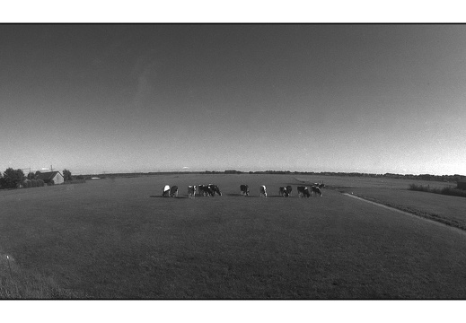 20250717-Minolta-X700-16mm-Delta100-Fietsen-131