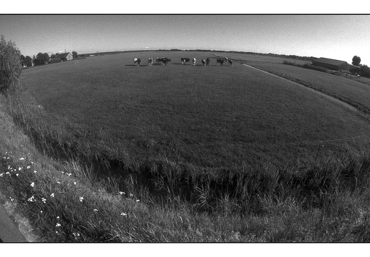 20250717-Minolta-X700-16mm-Delta100-Fietsen-132