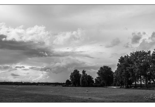 20250721-Luchten-101